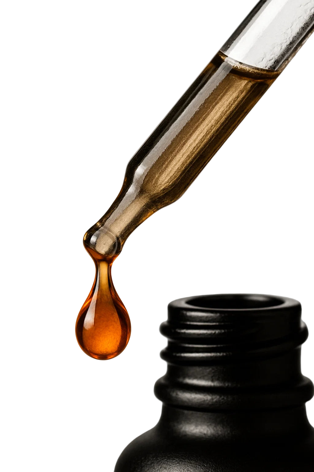 Lion’s Mane Extract